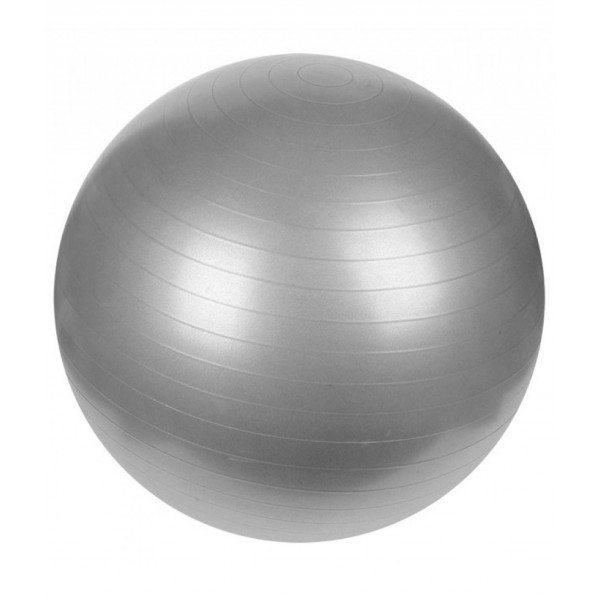 Vector X Gym Ball 75 Cms